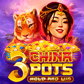 3 China Pots